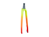 Trek 2022 Emonda SLR 700c Rigid Fork