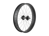 Electra Ponto Go! 20? Wheel