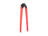 Trek 2021 Madone SLR 700c Rigid Fork
