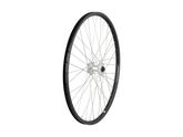 Electra Townie Go! 8D 26'?' Wheel