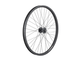 Electra Townie Go! 35mm Wide Rim 7D 26? Wheel