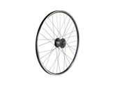 Electra Townie 7D EQ 26? Wheel