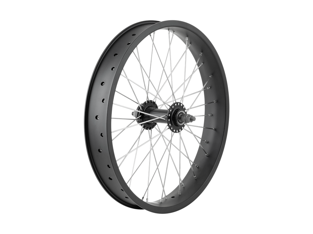 Electra Ponto Go! 20? Wheel