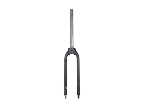 Trek Dual Sport+ 700c Rigid Fork