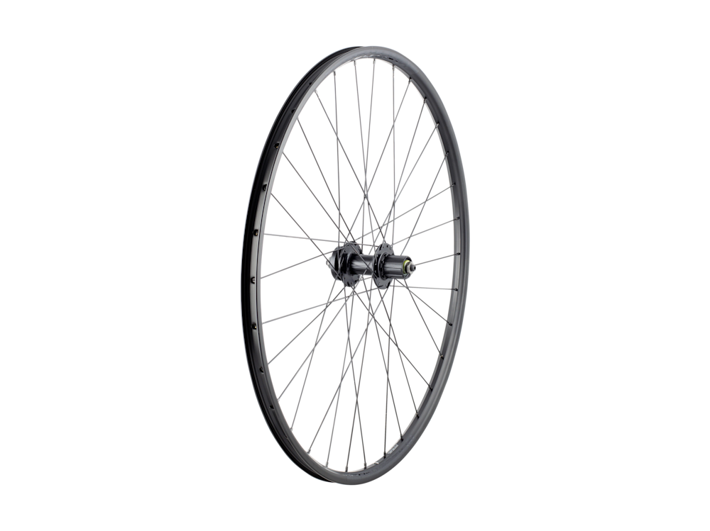 Bontrager Connection Schrader 6-Bolt Disc 29? MTB Wheel
