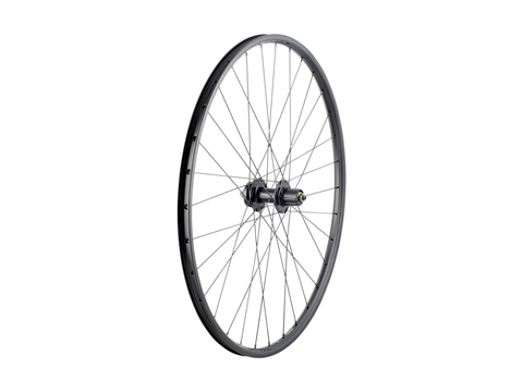 Bontrager Connection Schrader 6-Bolt Disc 29? MTB Wheel
