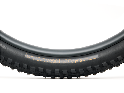 Bontrager Brevard Pro XR TLR MTB Tire