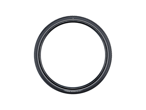 Schwalbe Motion Big Apple Tire