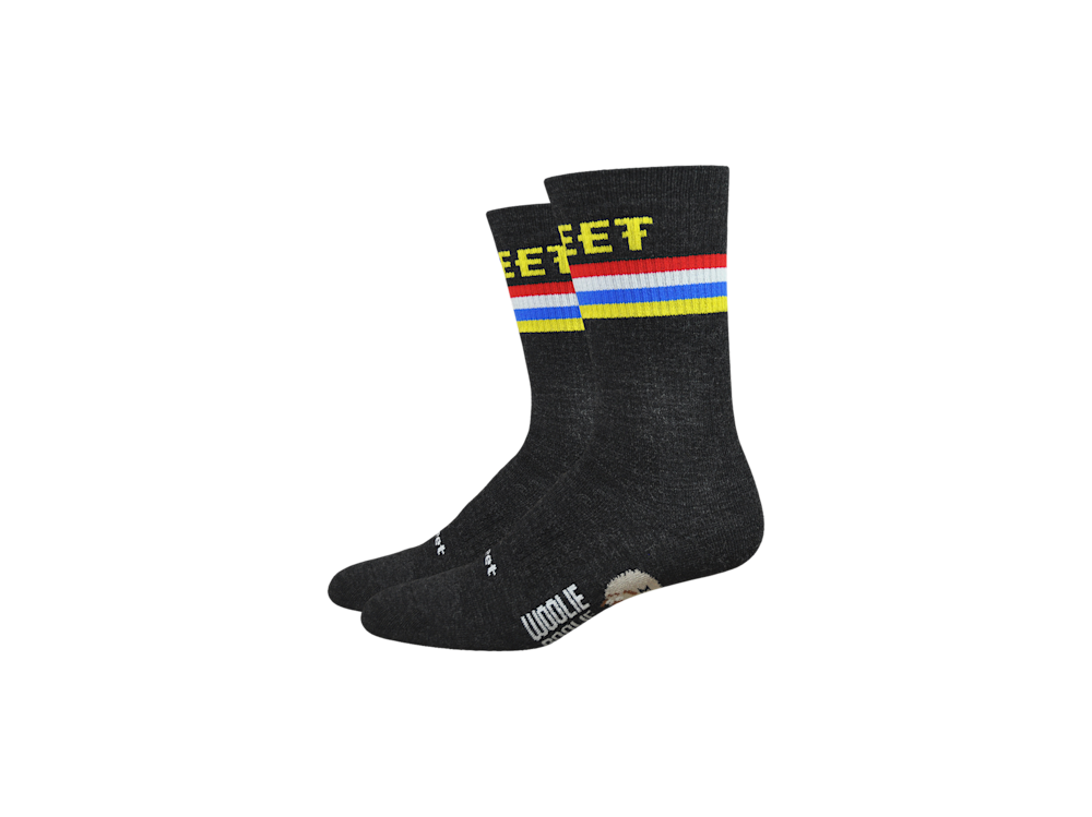 DeFeet Woolie Boolie 6? DeFeet Podium Socks