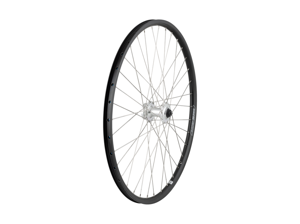 Electra Townie Go! 8D 26'?' Wheel