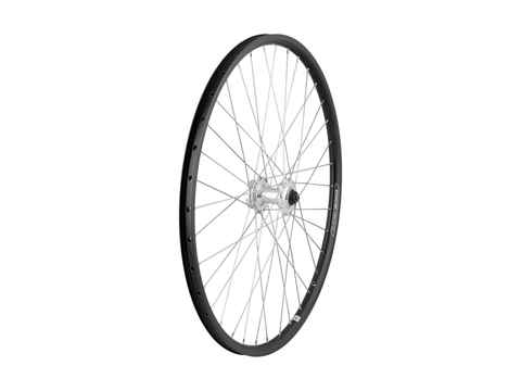 Electra Townie Go! 8D 26'?' Wheel