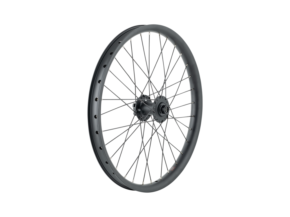Trek Cargo Bike 6-Bolt Disc 20? Wheel