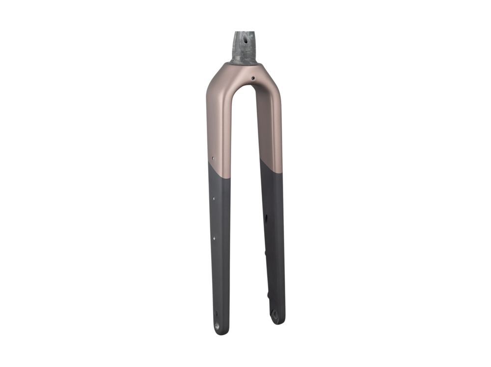 Trek Checkpoint + SL Gen 1 700c Rigid Fork