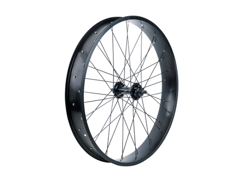 Electra Lux Fat 26? Wheel