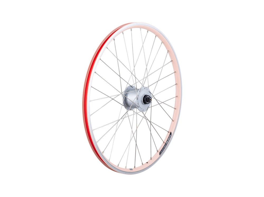 Electra 2021 Townie 7D 24? Wheels