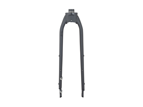 Trek Dual Sport 1 Thru-Axle 29? Rigid Fork