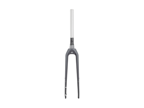 Trek Dual Sport 3 Thru-Axle 29? Rigid Fork