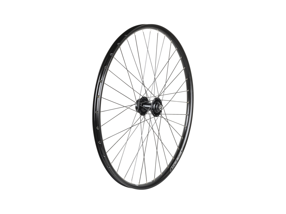 Electra Townie Go! 7D 26? Wheel