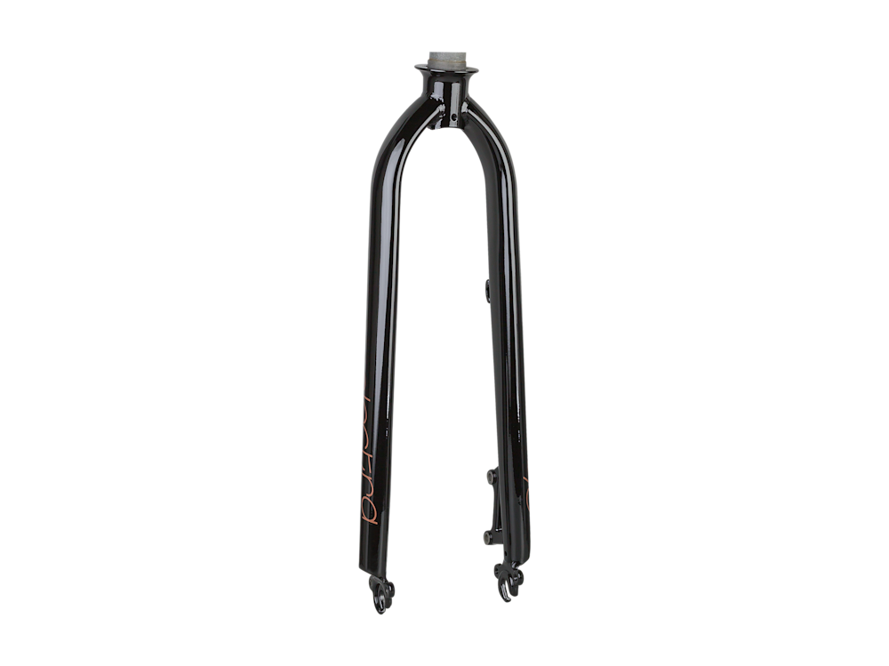 Electra Townie Go! 8i Step-Over 26? Rigid Fork