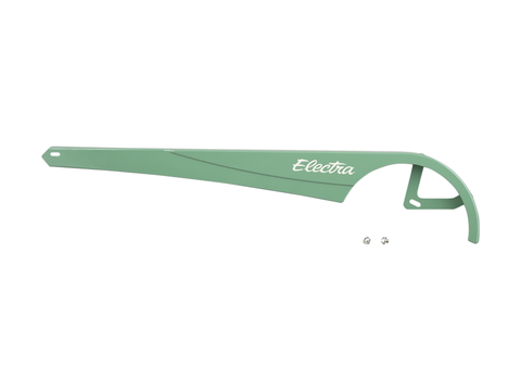 Electra Townie Rental 1 Chainguard