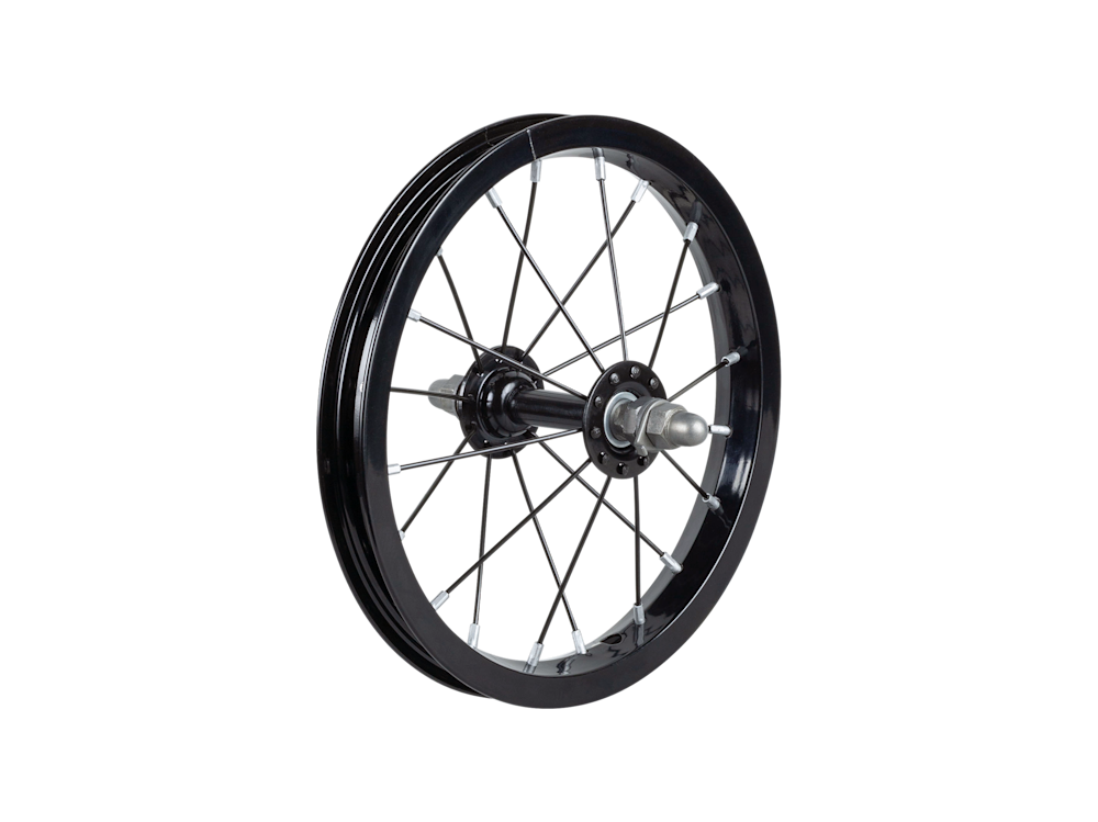 Trek Kickster 12? Spoked Wheel