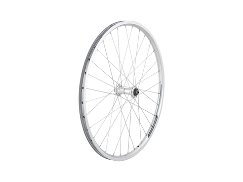 Electra 2021 Townie 7D 24? Wheels