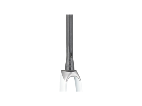Trek 2022 Emonda SL 700c Rigid Fork