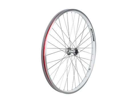 Electra Townie Go! 8i Centerlock Disc 26? Wheel