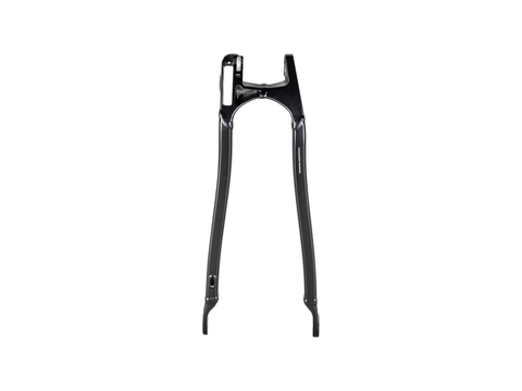 Trek 2022-2023 Session 29 Aluminum Chainstay