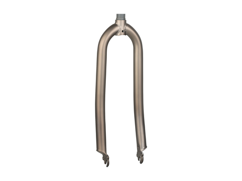 Electra Steel Frame Cruiser 1 Step-Over 26? Rigid Fork