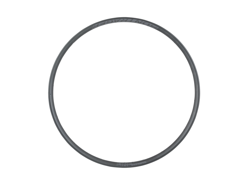 Bontrager Line Comp 30 TLR 29? MTB Rim