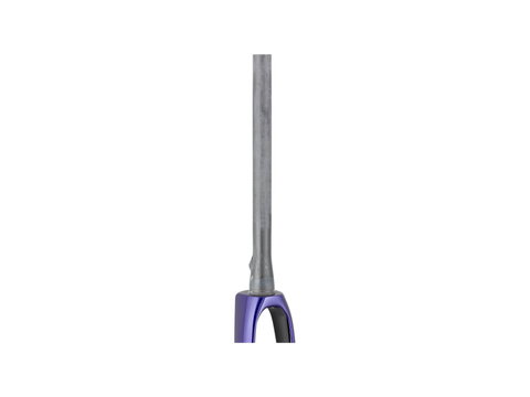 Trek 2021 Domane SL 700c Rigid Fork