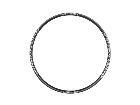 Bontrager Line DH 30 TLR 29? MTB Rim