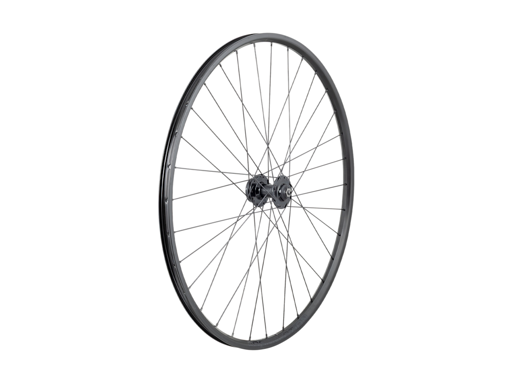 Trek Connection Schrader 29? 6-Bolt Disc MTB Wheel