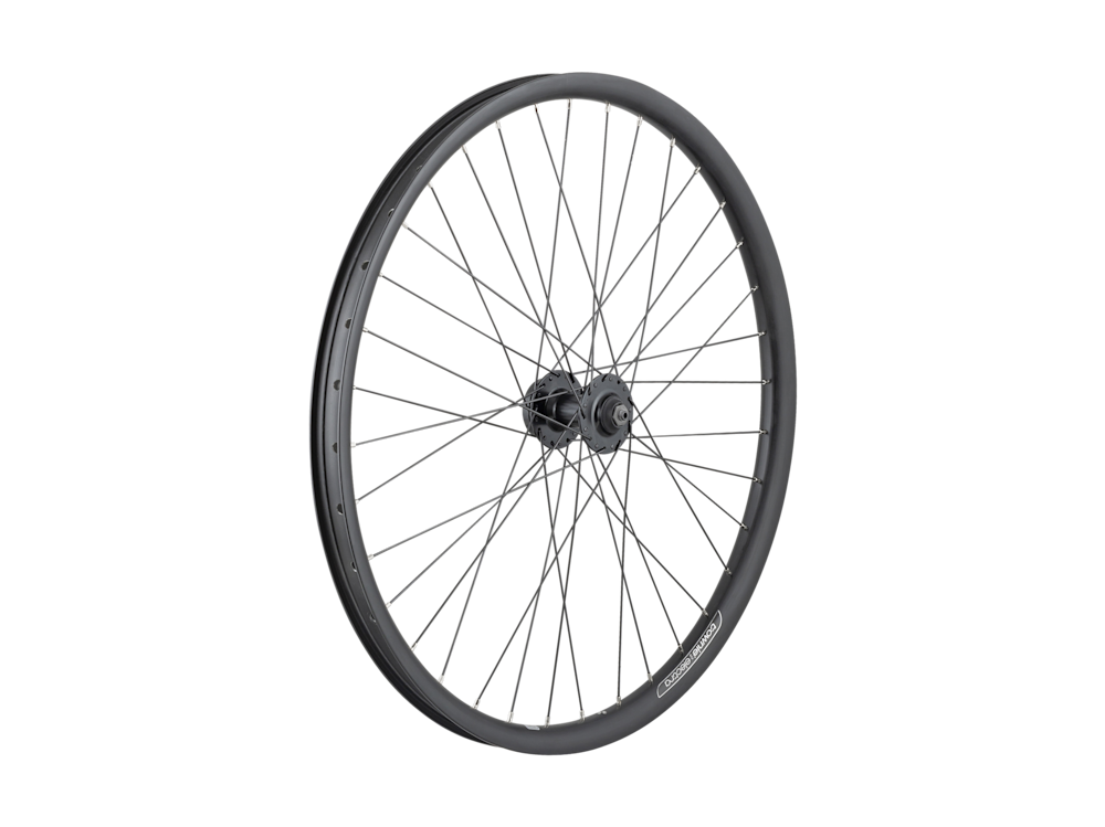 Electra Townie Go! 35mm Wide Rim 7D 26? Wheel