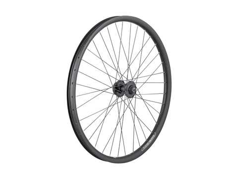 Electra Townie Go! 35mm Wide Rim 7D 26? Wheel