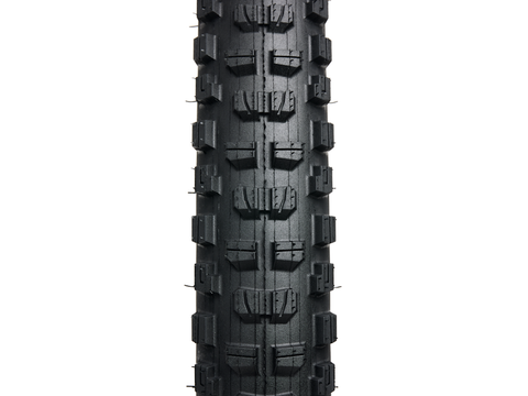 Bontrager Brevard Pro XR TLR MTB Tire