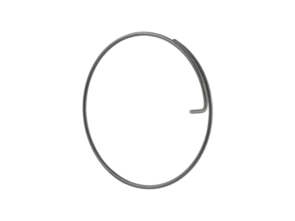 Bontrager DT Swiss Onyx Pawl Spring