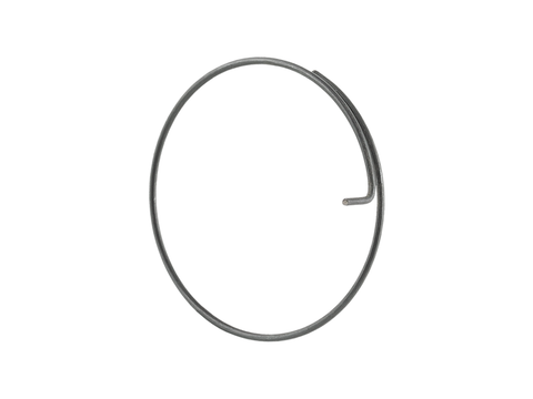 Bontrager DT Swiss Onyx Pawl Spring