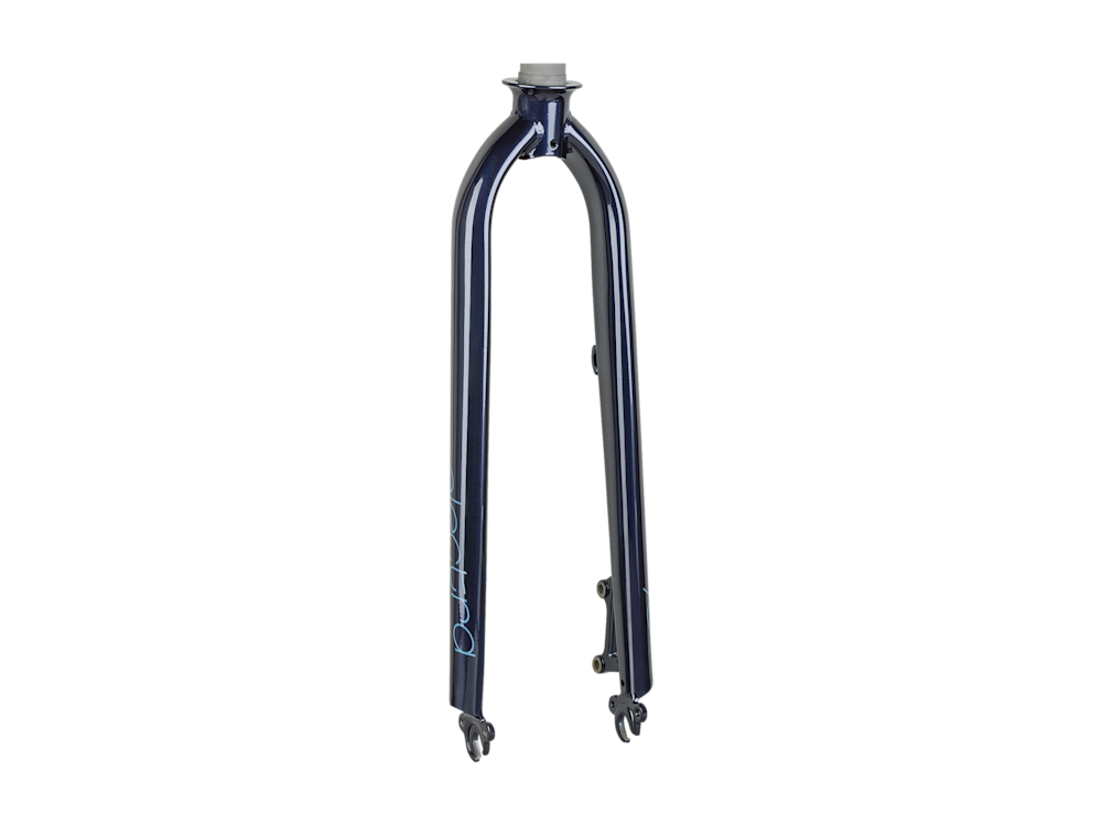 Electra Townie Go! 8D 26? Rigid Fork