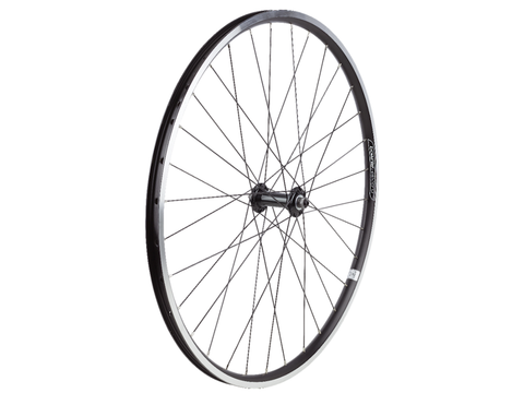 Electra Townie 1/7/21 26? Wheels
