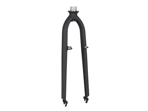Electra Townie Original 7D Tall Step-Over 26? Rigid Fork