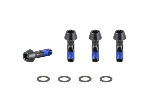 Trek 2021 E-Caliber 29 Chainstay Bridge M6x1x20mm Bolts