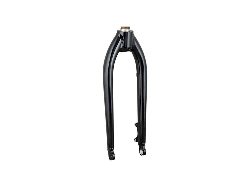 Trek Roscoe 20? Rigid Fork