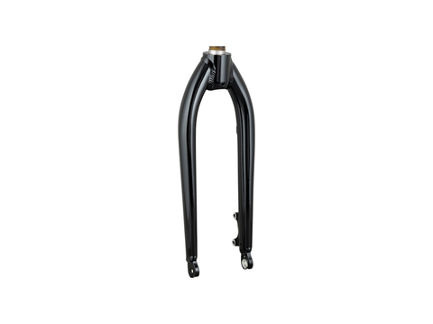 Trek Roscoe 20? Rigid Fork
