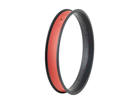 Electra Ponto Go! 20? Rim Strip
