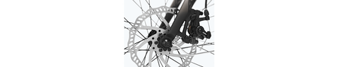 Townie Go! 7D-Townie Go! 7D EQ Step-Thru