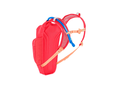 CamelBak Kids Mini M.U.L.E.? 50oz Hydration Pack
