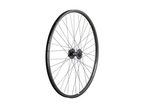 Electra Townie Go! 8D 26'?' Wheel