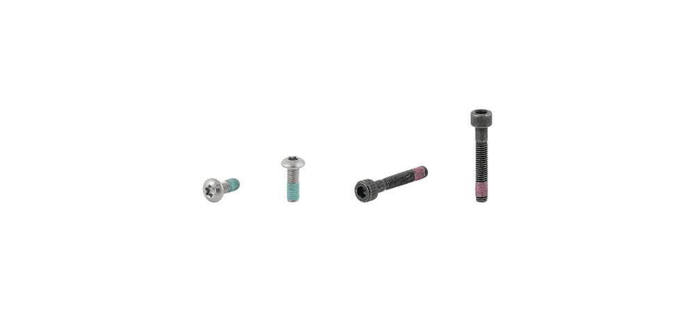 Electra Townie Go! 5i Rack Bolt Set